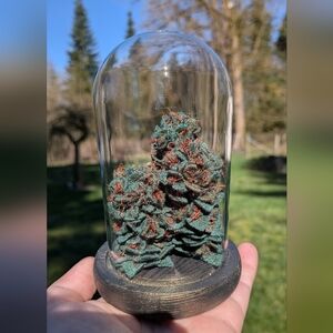 Replica Marijuana Nugs X 3 Embroidery Thread Sculpture W/Cloche